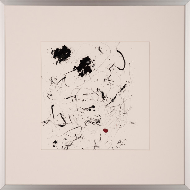 Jan Kamenicek_DSC8300.jpg